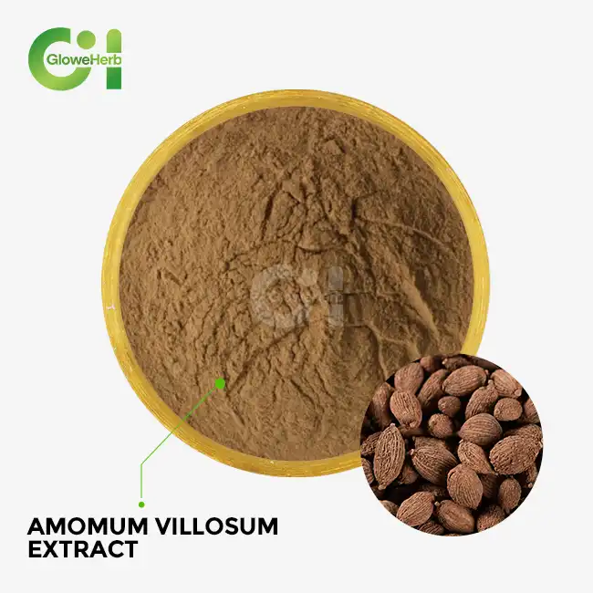 Amomum villosum extract
